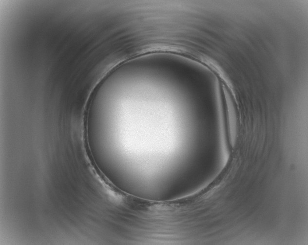 X0000068750898200605051537