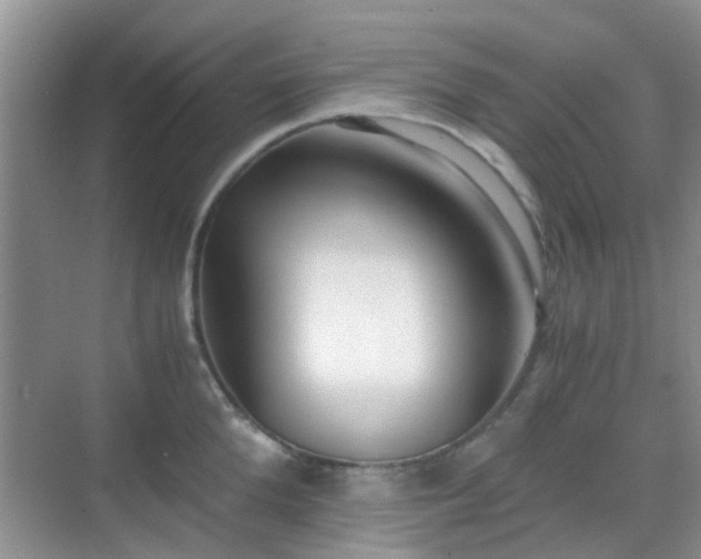 X0000068750904200605051537