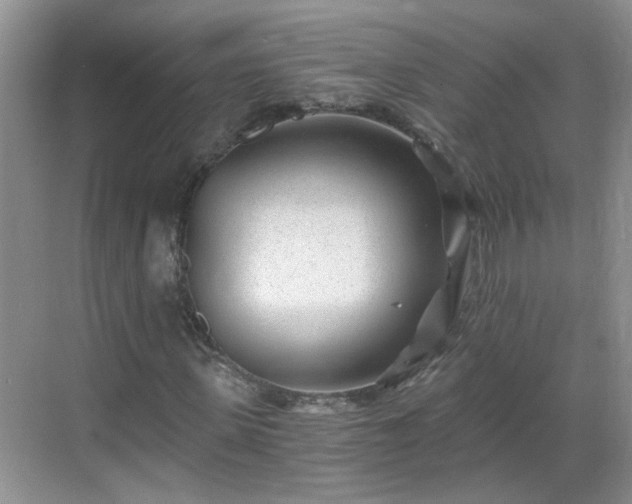 X0000068750915200605051536
