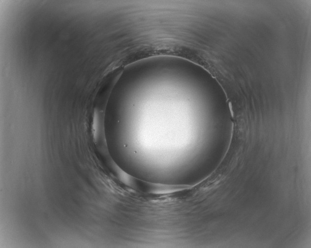 X0000068750916200605051536