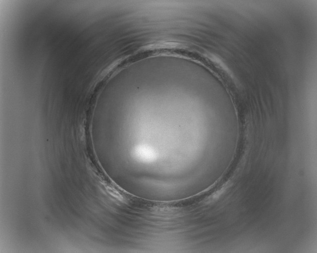 X0000068750921200605051536