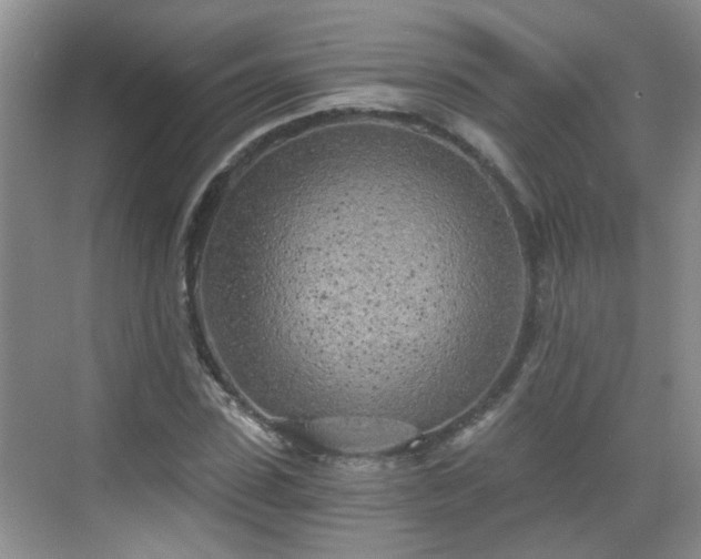 X0000068750923200605051536