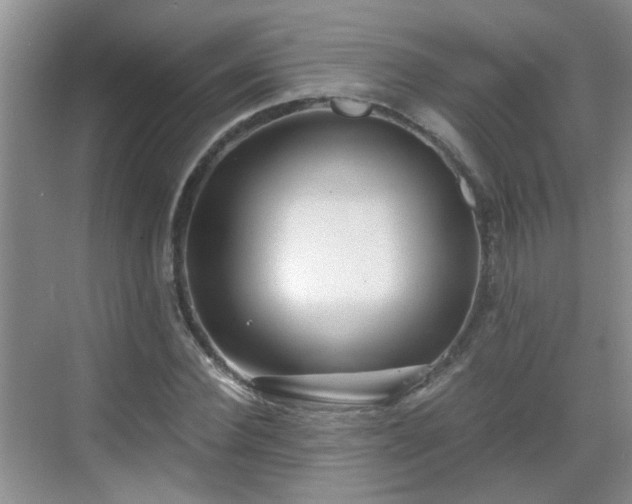 X0000068750924200605051536