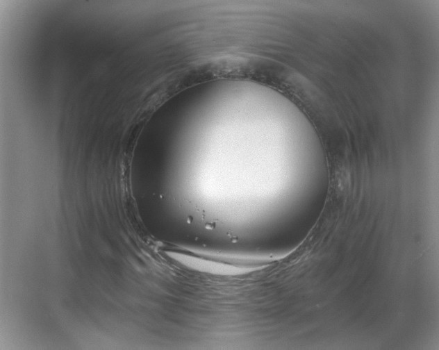 X0000068750964200605051536