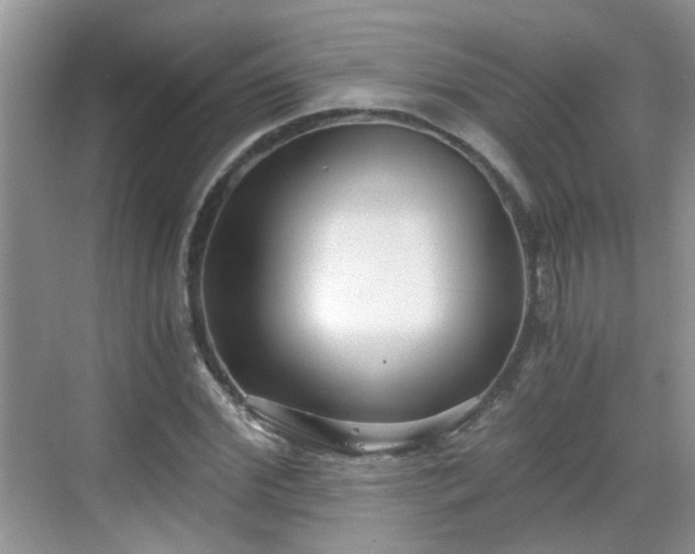 X0000068750972200605051536