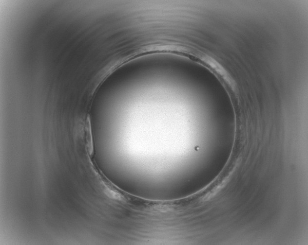 X0000068750993200605051535