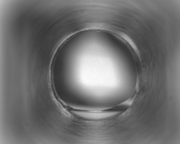 X0000068750996200605051535