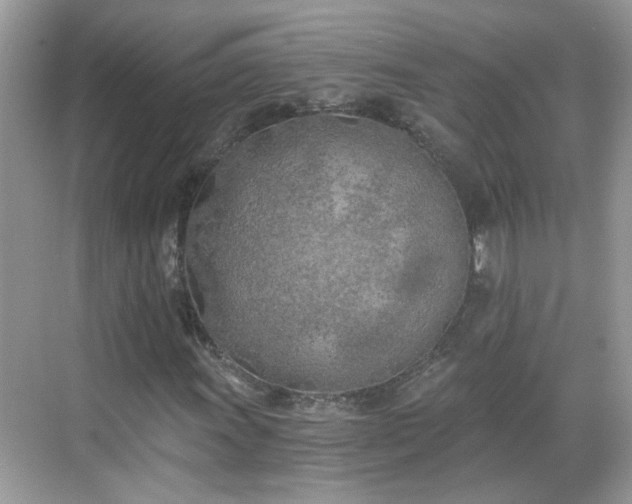 X0000068751011200605051534