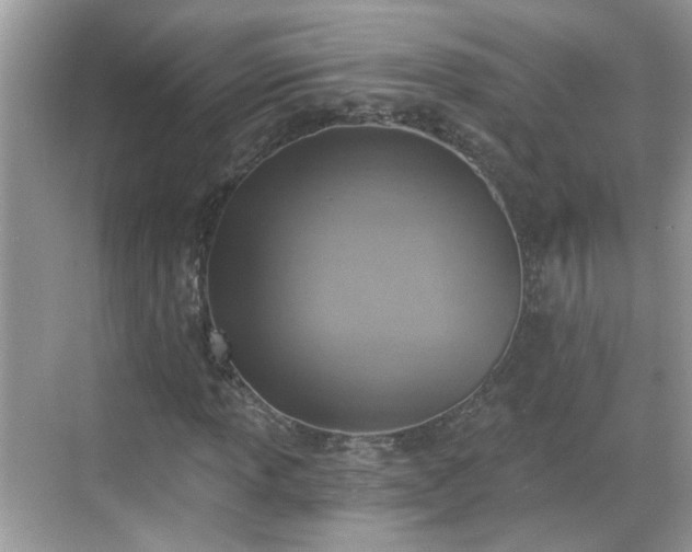 X0000068751013200605051534