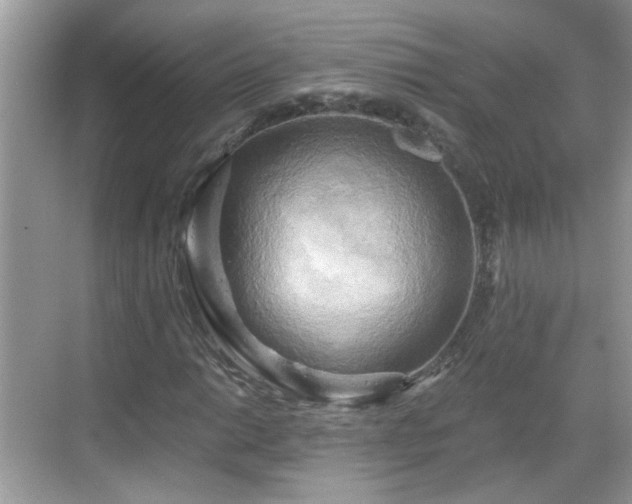 X0000068751014200605051534
