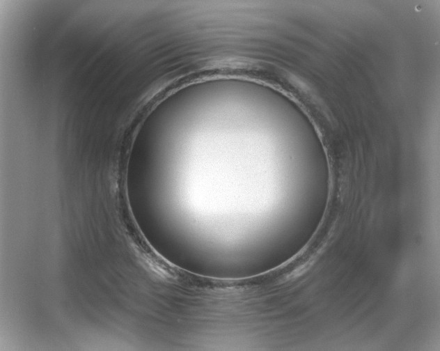 X0000068751017200605051534