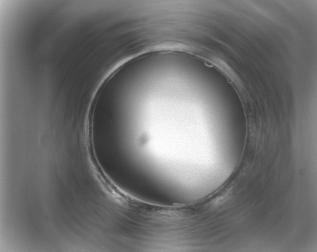 X0000068751044200605051535