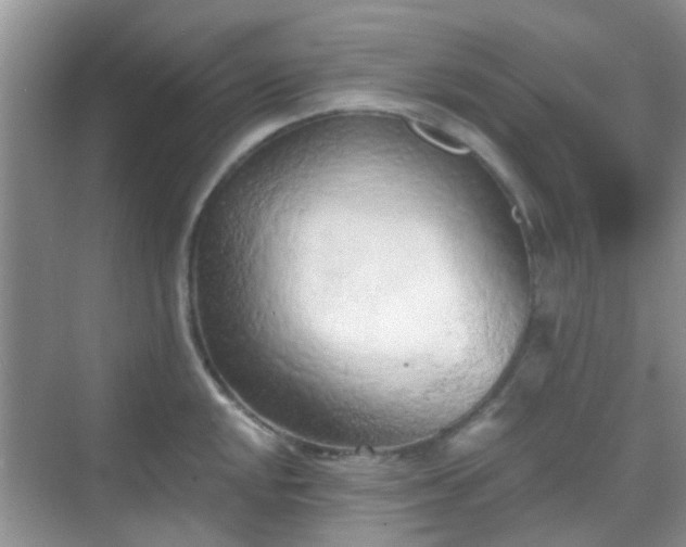 X0000068751048200605051535