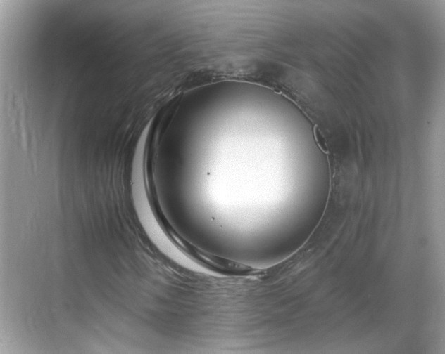 X0000068751058200605051534