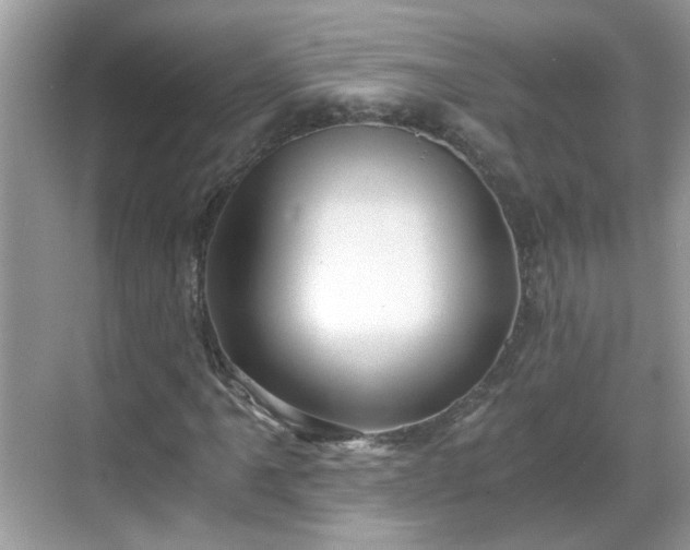 X0000068751061200605051534