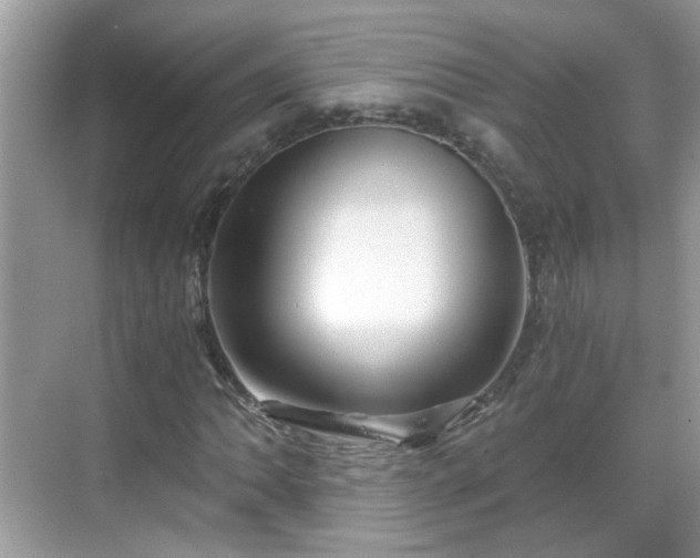 X0000068751062200605051534