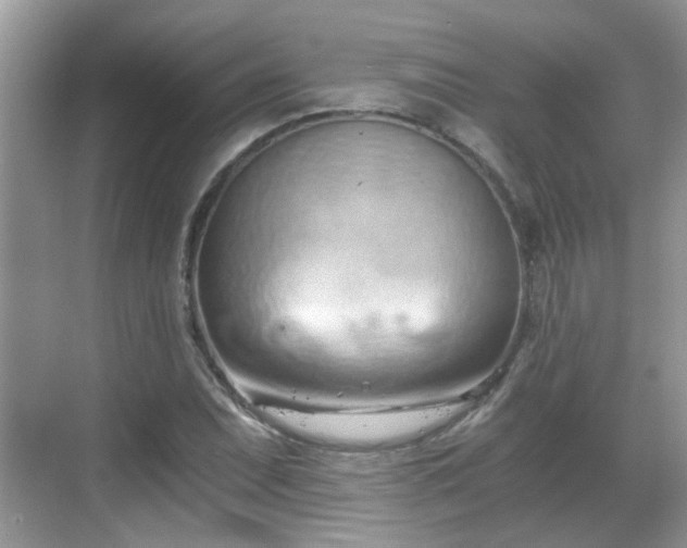 X0000068751071200605051534