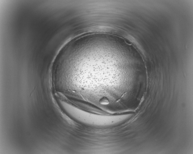 X0000068751083200605051534