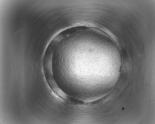 X0000068751102200605051533