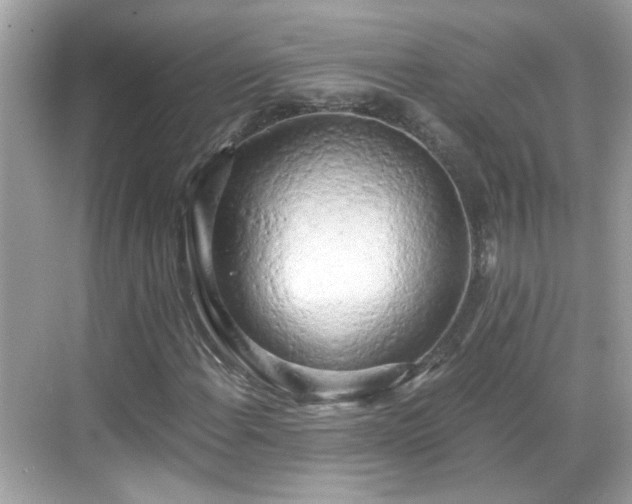 X0000068751108200605051533