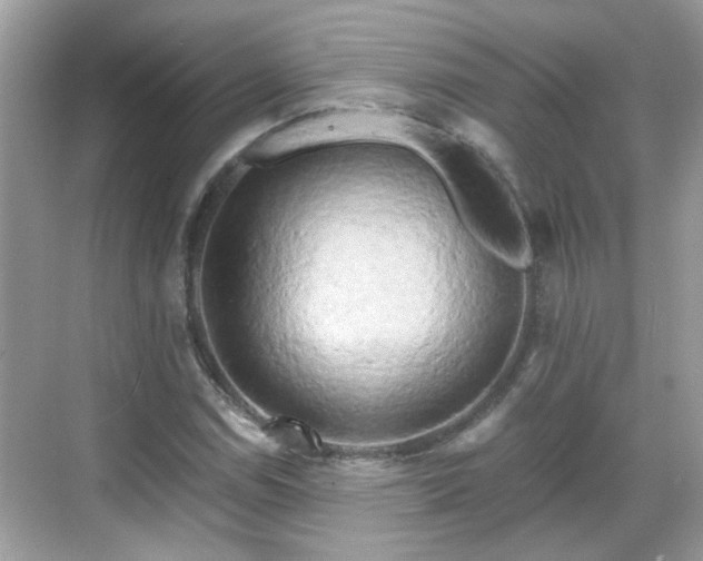 X0000068751114200605051533