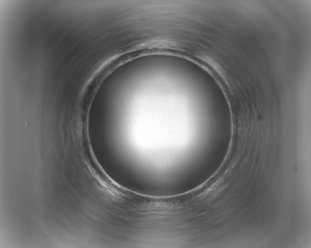 X0000068751115200605051533
