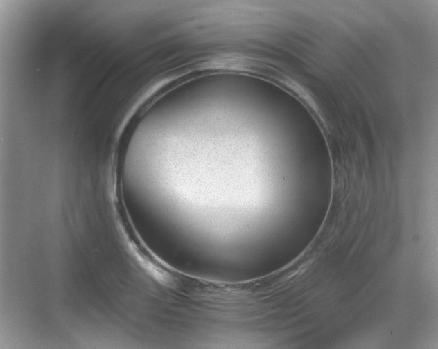 X0000068751131200605051533