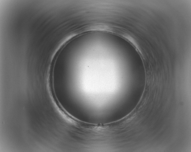 X0000068751139200605051533