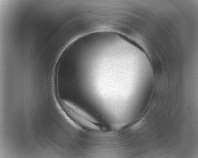 X0000068751142200605051533