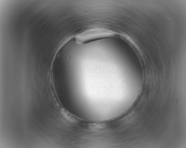 X0000068751145200605051533