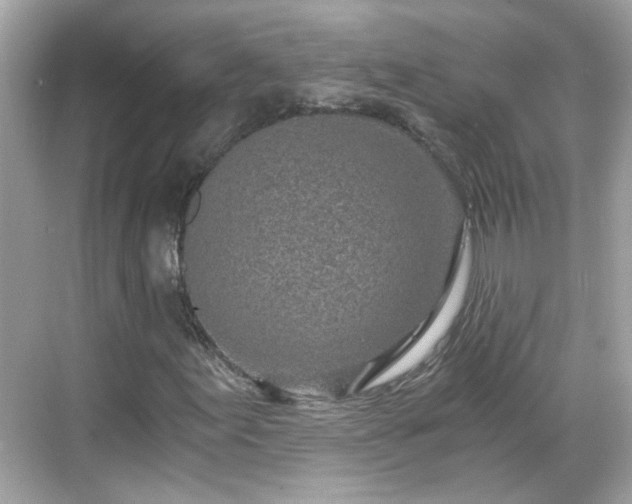 X0000068751155200605051532