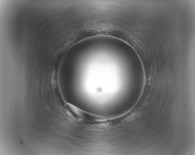 X0000068751156200605051532