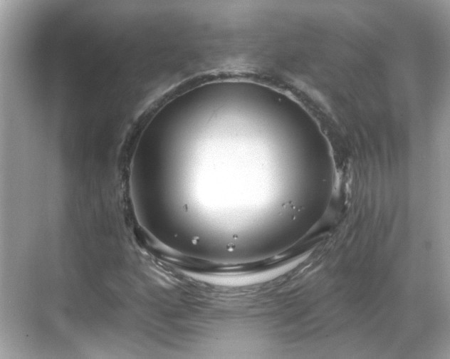 X0000068751160200605051532