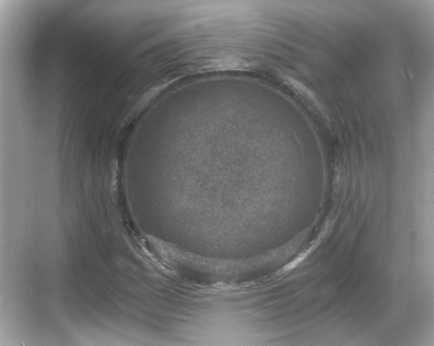 X0000068751161200605051532
