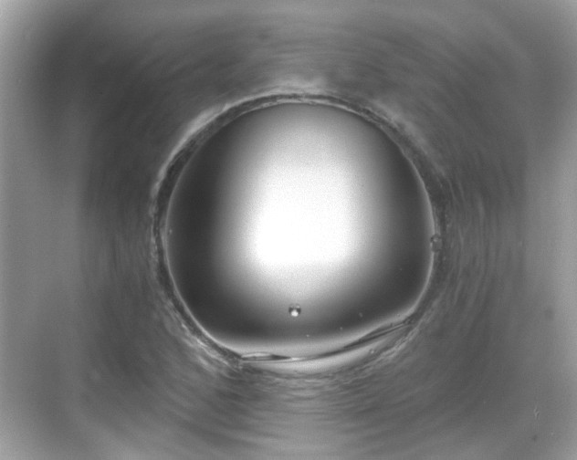 X0000068751168200605051532
