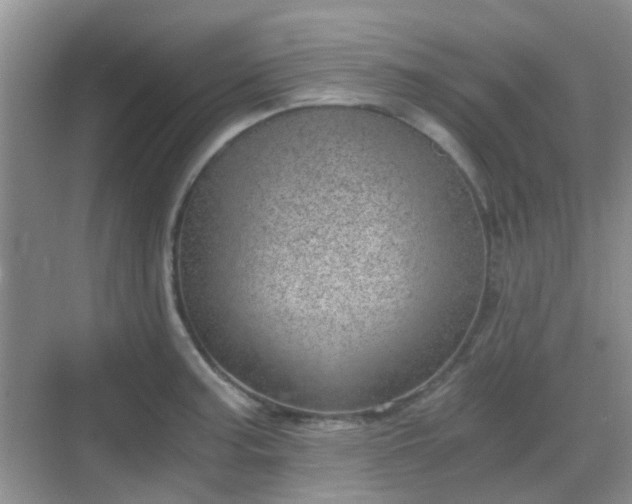 X0000068751187200605051532