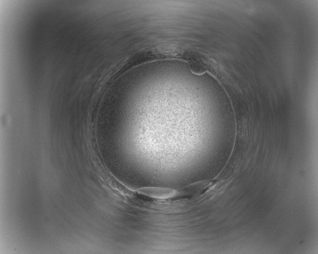 X0000068751201200605051531