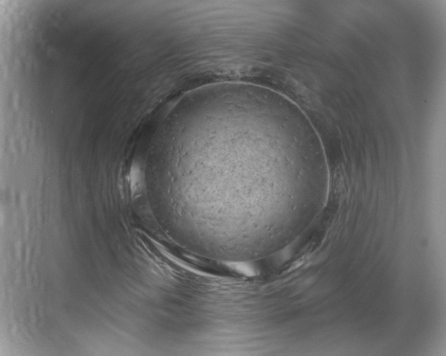 X0000068751202200605051531
