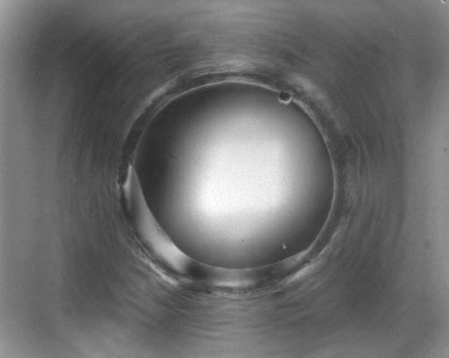 X0000068751210200605051531