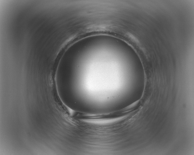 X0000068751218200605051531
