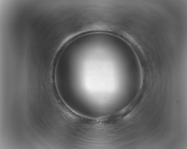 X0000068751222200605051531