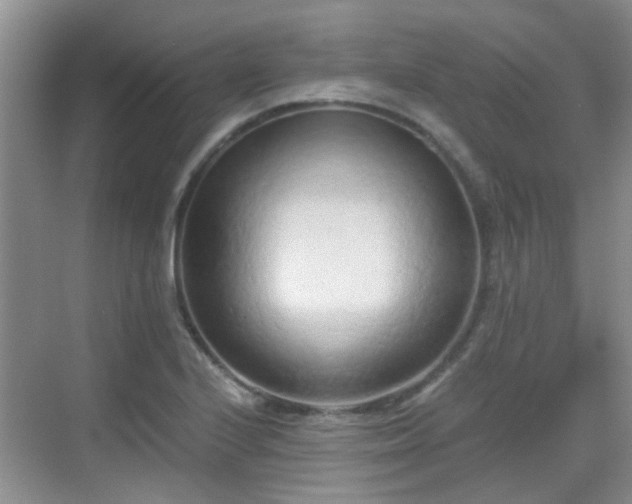 X0000068751224200605051531