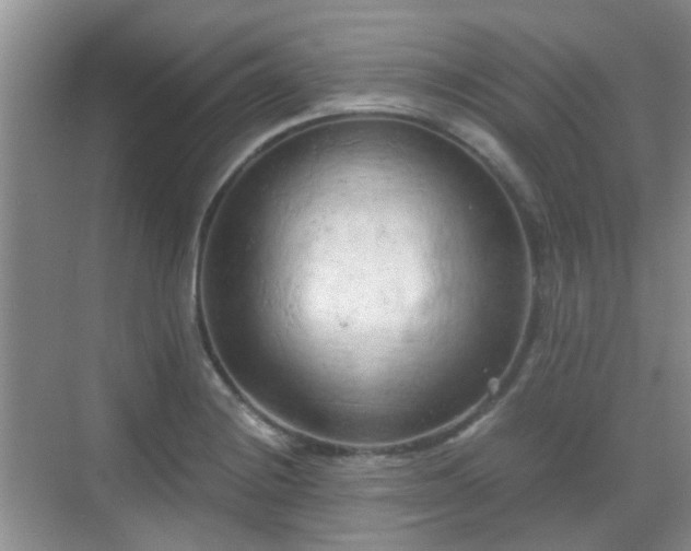X0000068751228200605051531