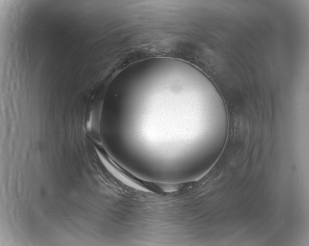 X0000068751250200605051531