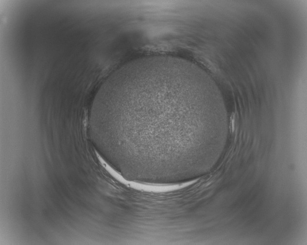 X0000068751251200605051531