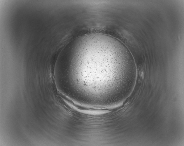 X0000068751252200605051531