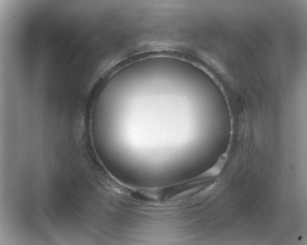 X0000068751261200605051531