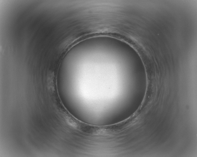X0000068751265200605051531
