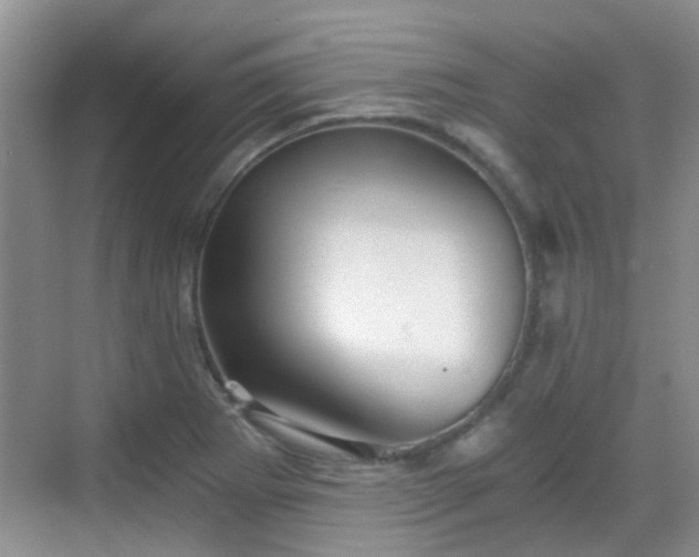 X0000068751273200605051530