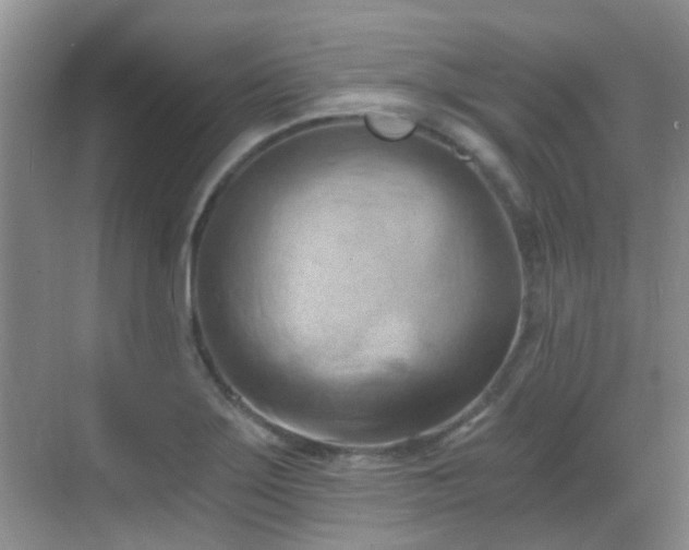 X0000068751275200605051530